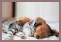 /album/les-animaux-/images-1-jpeg3/